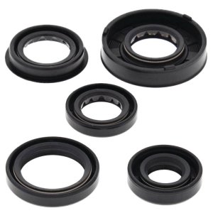 Polaris Predator Engine Oil Seal Kit - Vertex Pistons - `05-`06